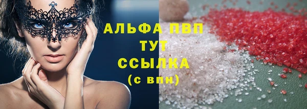 сатива Беслан
